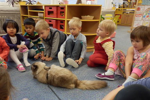 2015-10-23 kočička ve třídě JEŽEK 008