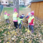 Bez práce nejsou koláče - hrabání listí na školní zahradě