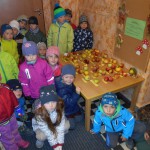 Výstava jablíček